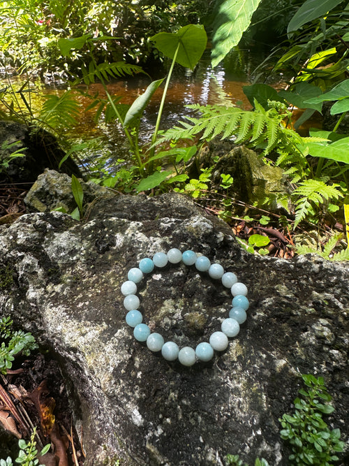 Amazonite 8mm Energy Healing Bracelet