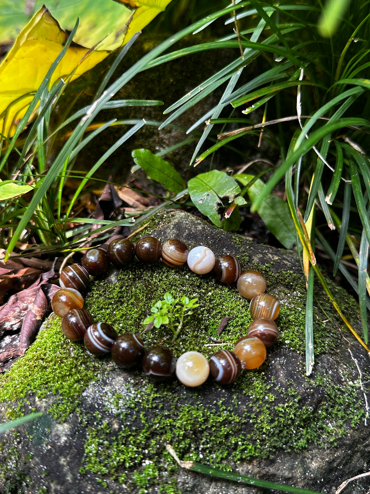Tiger Eye 12mm Bracelet — Confidence & Inner Strength
