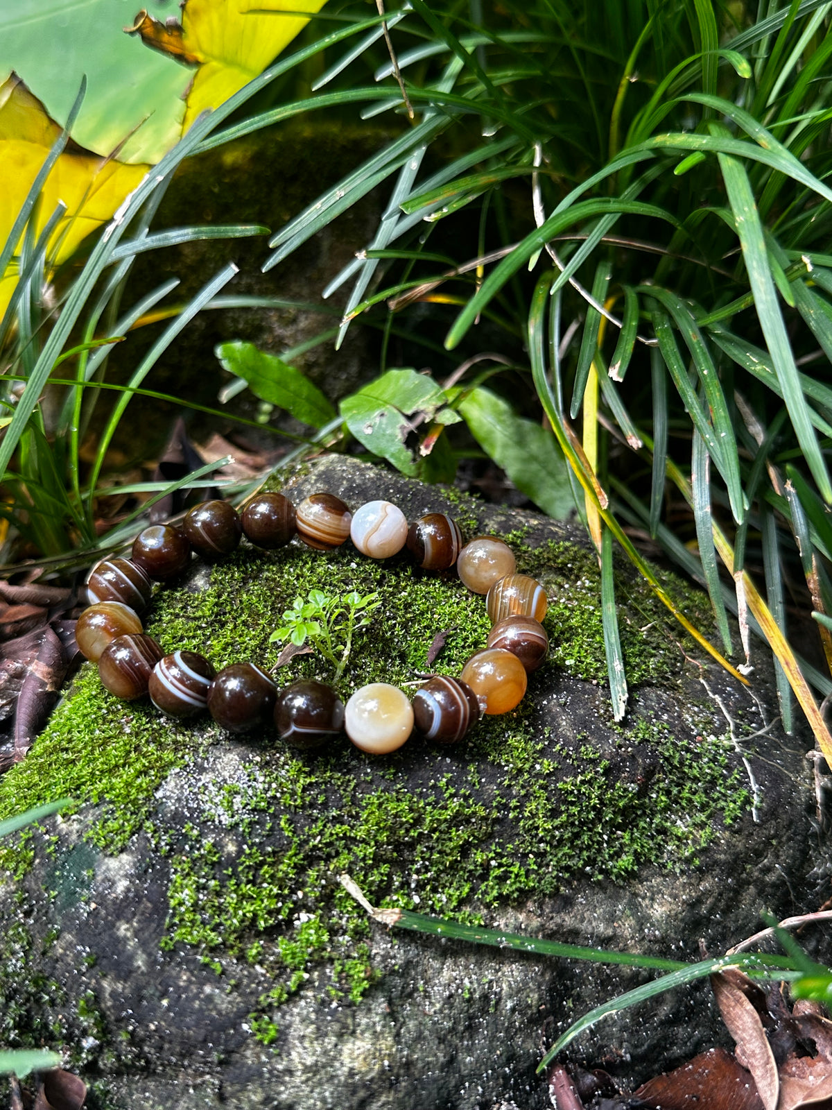 Tiger Eye 12mm Bracelet — Confidence & Inner Strength