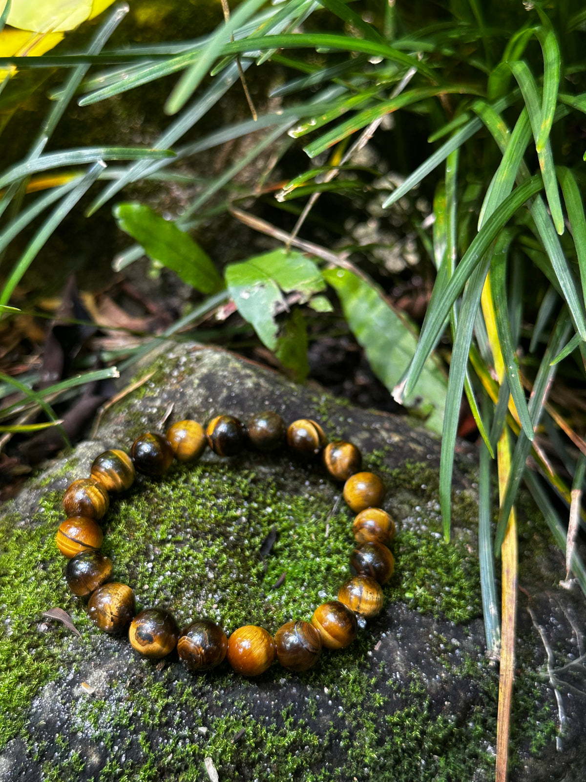 Tiger Eye 8mm Bracelet — Confidence & Inner Strength