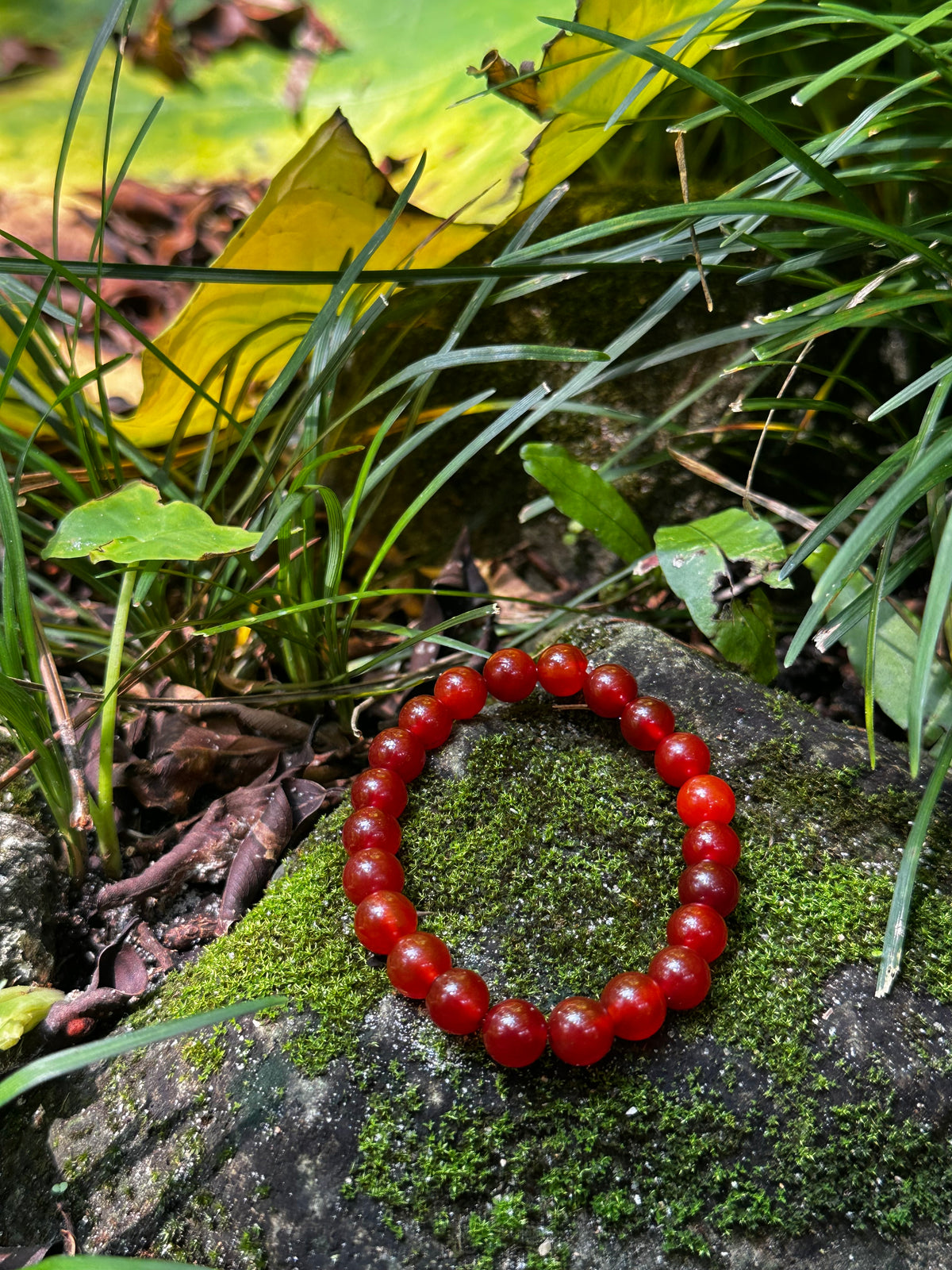 Red Agate 8mm Bracelet — Strength & Passionate Energy