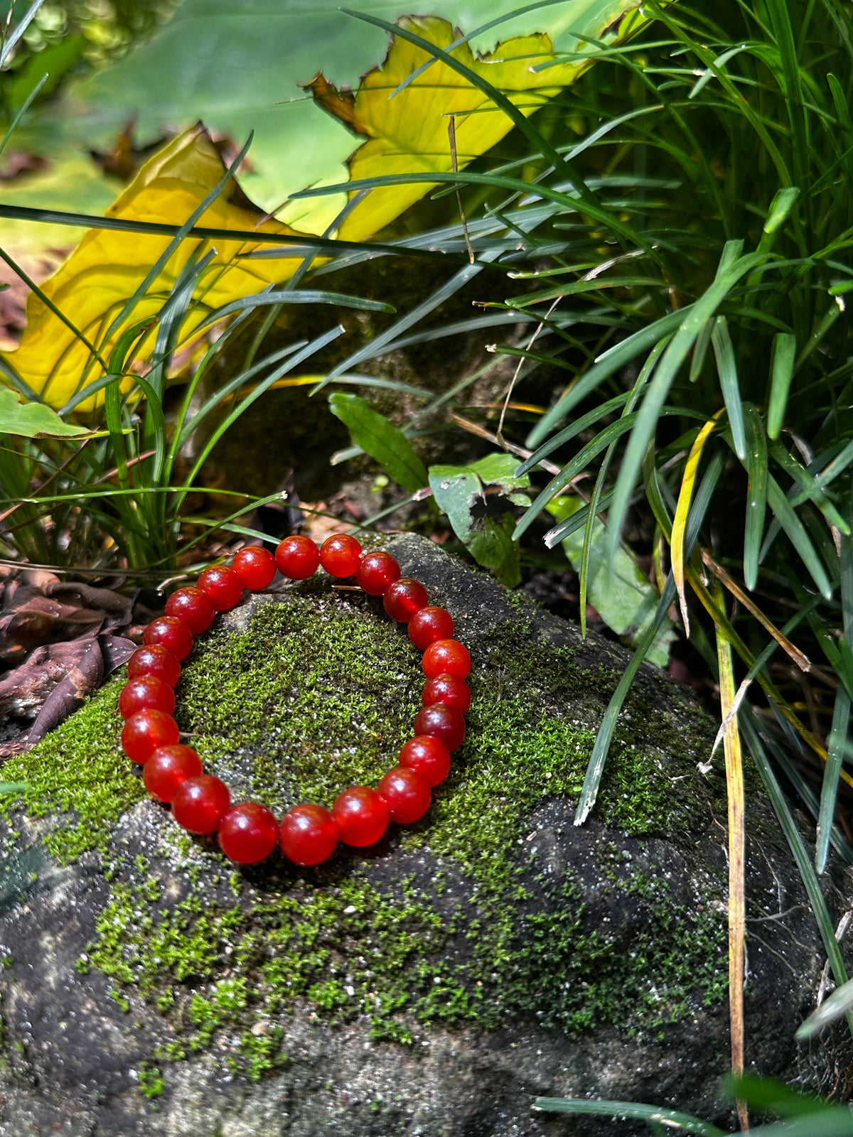 Red Agate 8mm Bracelet — Strength & Passionate Energy