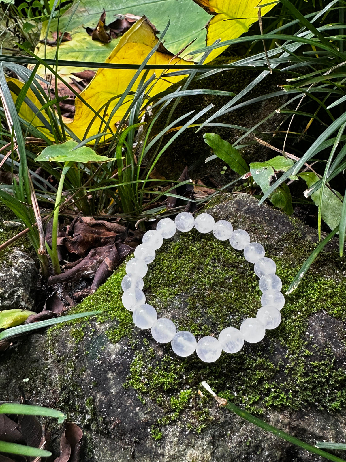 Rose Quartz 8mm Energy Healing Bracelet