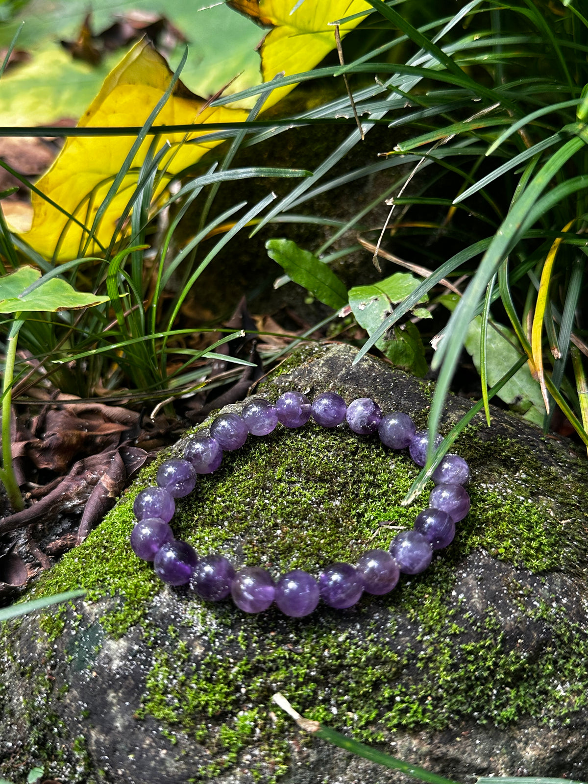 Amethyst 8mm Energy Healing Bracelet