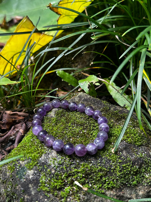 Amethyst 8mm Energy Healing Bracelet