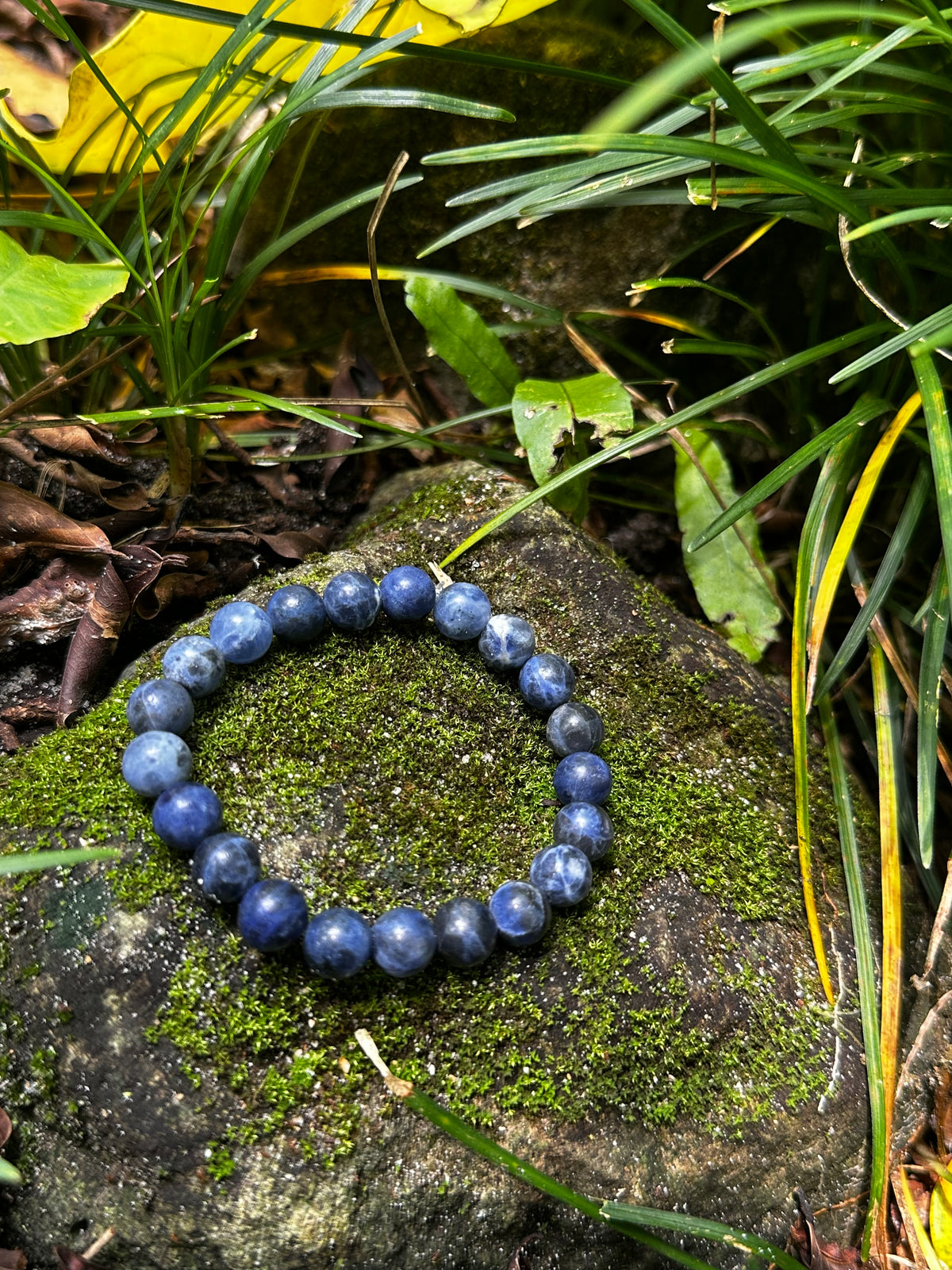 Sodalite 8mm Bracelet — Intuition & Inner Truth
